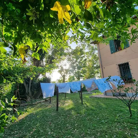 Escuelita Viva