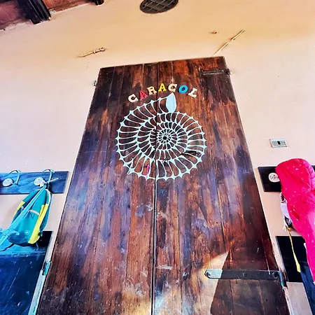 Escuelita Viva